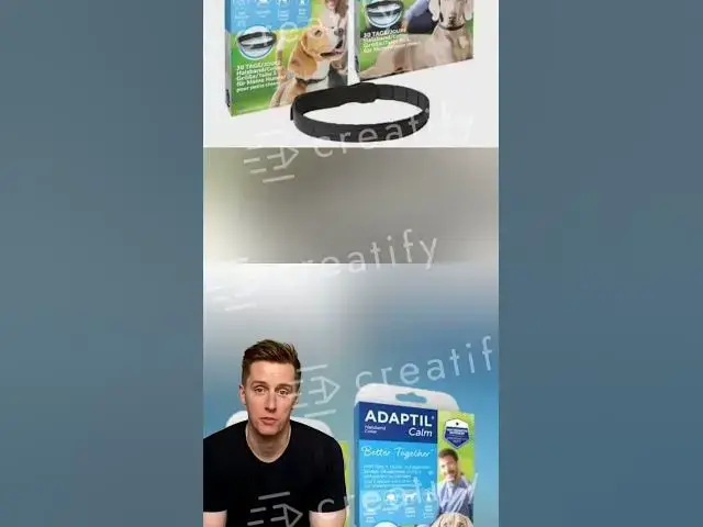 'Video thumbnail for BaLooGsd.com'