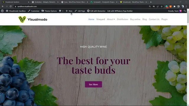 'Video thumbnail for How To Remove Page Heading _ Navbar & Footer Sections In Visualmodo WordPress Themes_'