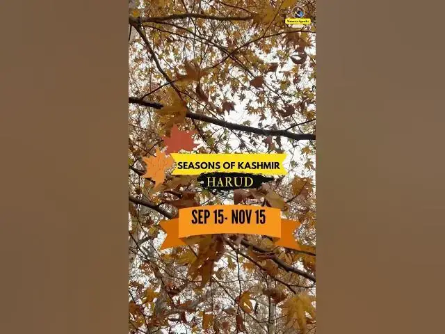 'Video thumbnail for Seasons of Kashmir | MuneerSpeaks'