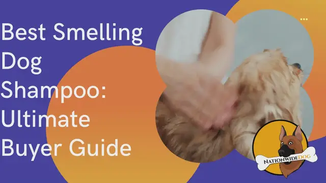 'Video thumbnail for Best Smelling Dog Shampoo: Ultimate Buyer Guide'