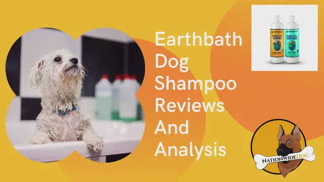 'Video thumbnail for Earthbath Dog Shampoo Reviews And Analysis'