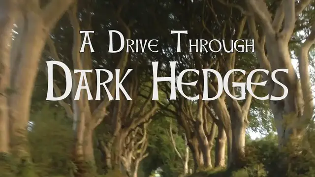 'Video thumbnail for The Dark Hedges - what it's like to drive through'