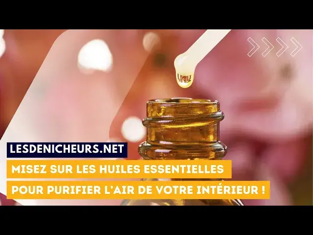 'Video thumbnail for Misez sur les huiles essentielles pour purifier l’air de votre intérieur !'