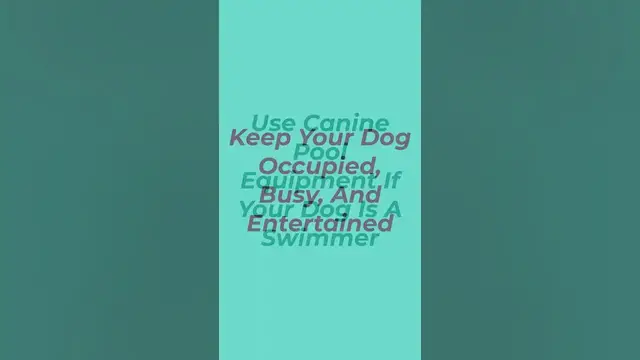 'Video thumbnail for How To Stop A Dog From Drinking Pool Water'
