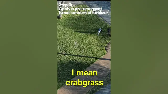 'Video thumbnail for How To Prepare Lawn For Spring: FUNDAMENTALS'