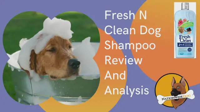 'Video thumbnail for Fresh N Clean Dog Shampoo Review And Analysis'