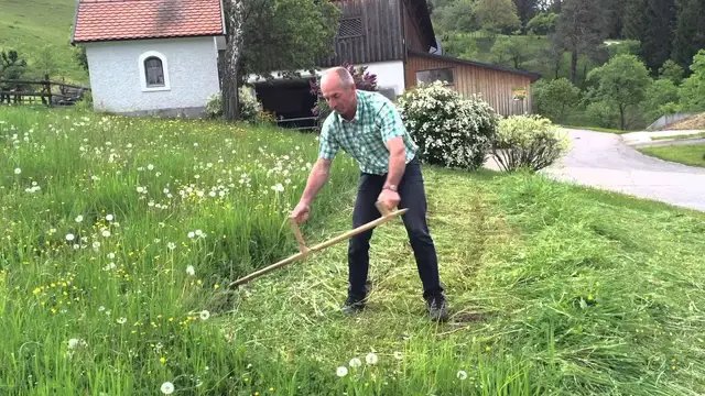 'Video thumbnail for Zu Gast bei der 1. Österreichischen Sensenmähschule im Mostviertel'