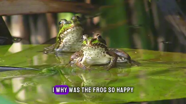 'Video thumbnail for Hop into Hilarity: 30 Frog Puns & Jokes Guaranteed to Make You Ribbit with Laughter!'