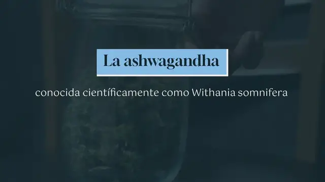 'Video thumbnail for Qué es la ashwagandha: Conoce los potenciales beneficios contra la ansiedad, el estrés y la diabetes'