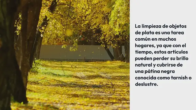 'Video thumbnail for Cómo limpiar la plata con bicarbonato para devolverle el brillo'