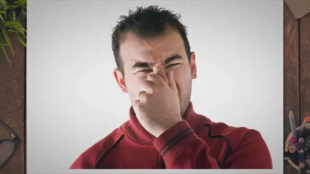 'Video thumbnail for Weird and Strange Trivia Quiz Questions With Answers'