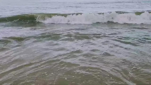 'Video thumbnail for Beach Waves'