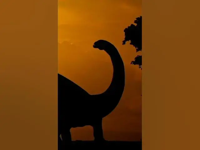 'Video thumbnail for Dinosaur Feathered Wonders | enjoy with dino fun facts'