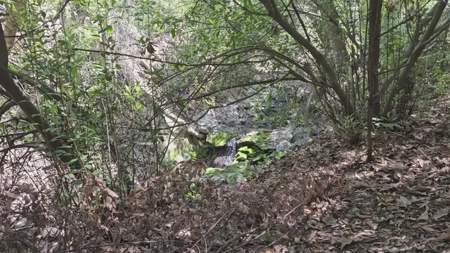 'Video thumbnail for Secrets of Oak Canyon & Silverado Adventure'
