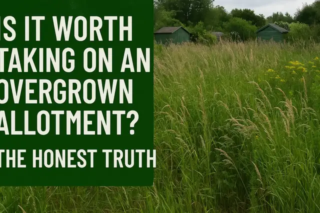 'Video thumbnail for Is It Worth Taking On an Overgrown Allotment? The Honest Truth'