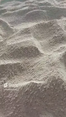 'Video thumbnail for White Florida sand dunes so sweet! '