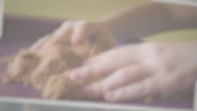 'Video thumbnail for Is Kinetic Sand Biodegradable? - IndexToy'