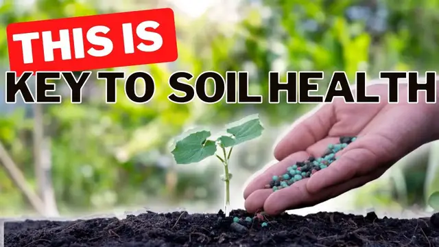 'Video thumbnail for Should You Apply Fertilizer To The Garden In Fall? Why Only Certain Plants Need Fall Fertilizer.'