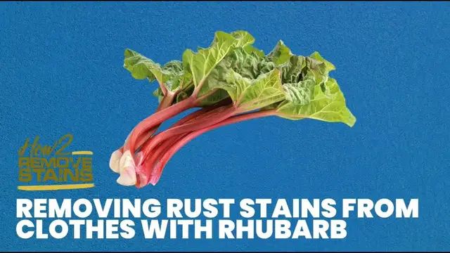 'Video thumbnail for Removing rust stains from clothes with rhubarb'