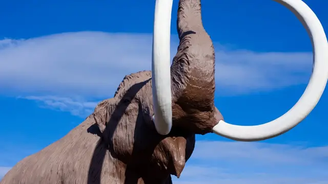 'Video thumbnail for 8 Animals Science Wants To Bring Back From Extinction'
