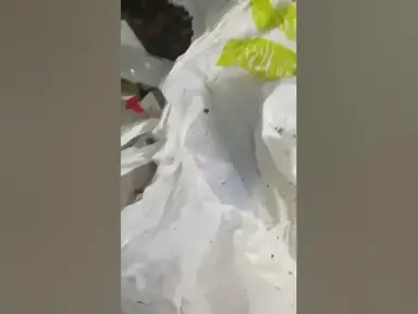 'Video thumbnail for Drug paraphernalia found in Craigavon'