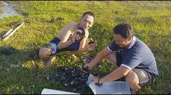 'Video thumbnail for Berburu Kijing/Remis di Lampung Timur [MANCING LAGI]'