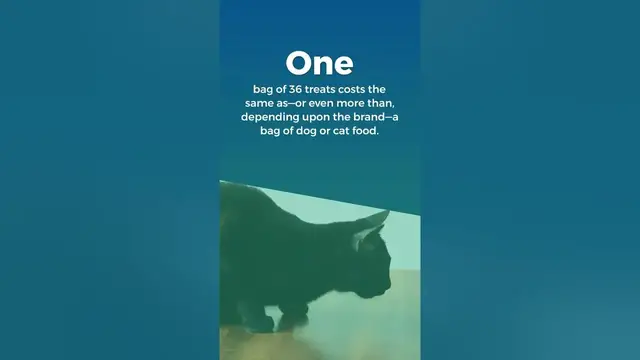 'Video thumbnail for Why Are Greenies Treats So Expensive'