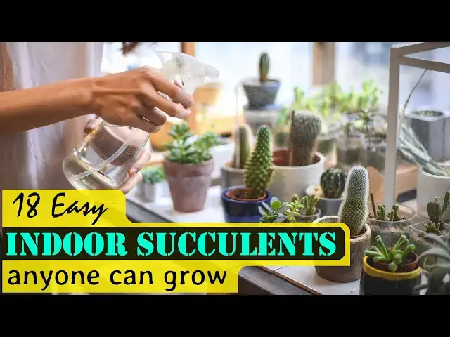 'Video thumbnail for 18 Easy Indoor Succulents Anyone Can Grow'