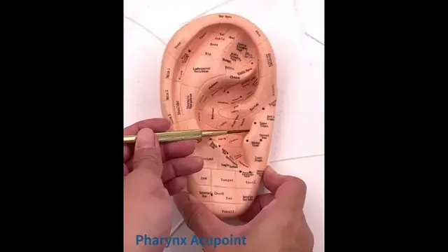 'Video thumbnail for Locating the Pharynx Acupoint in the Ear for Persistent Throat Issues'