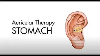 'Video thumbnail for How To Use Ear Seeds To Relieve Gastritis (Ear Seeds Placement Tutorial)'