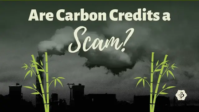 'Video thumbnail for Are Carbon Credits a Scam?'