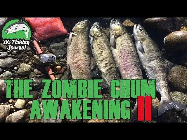 'Video thumbnail for The Zombie Chum Awakening 2 - Chum Salmon Fishing'