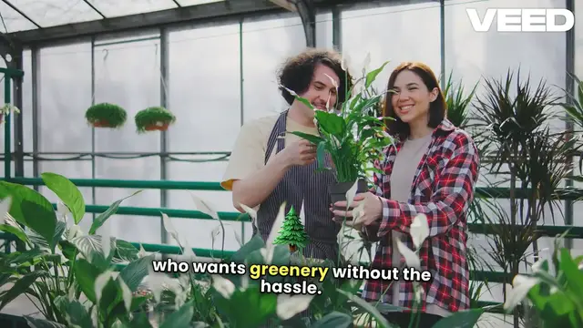 'Video thumbnail for Transform Your Home with Fake Plants'
