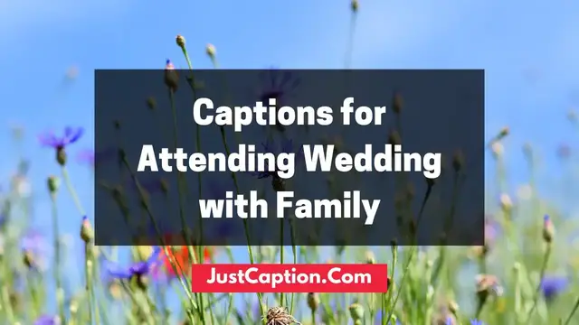 'Video thumbnail for Cute Captions for Attending Wedding with Family'