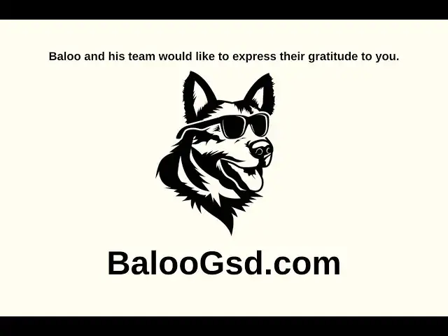 'Video thumbnail for The Essential Guide to Grooming Your German Shepherd'