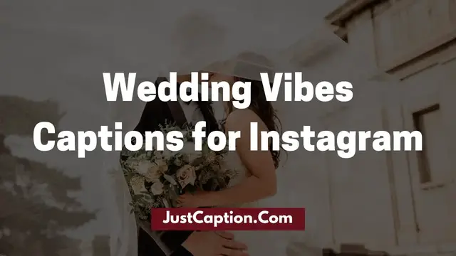 'Video thumbnail for 340 Wedding Vibes Captions for Instagram'