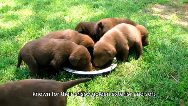 'Video thumbnail for How to make the Hush Puppies Recipe  '