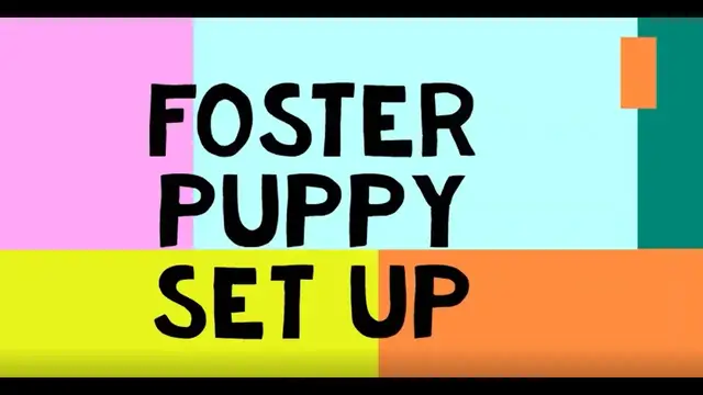 'Video thumbnail for Foster Puppy Set Up'