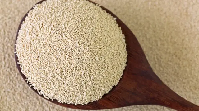 'Video thumbnail for Here's Everything You Need To Know About Yeast'