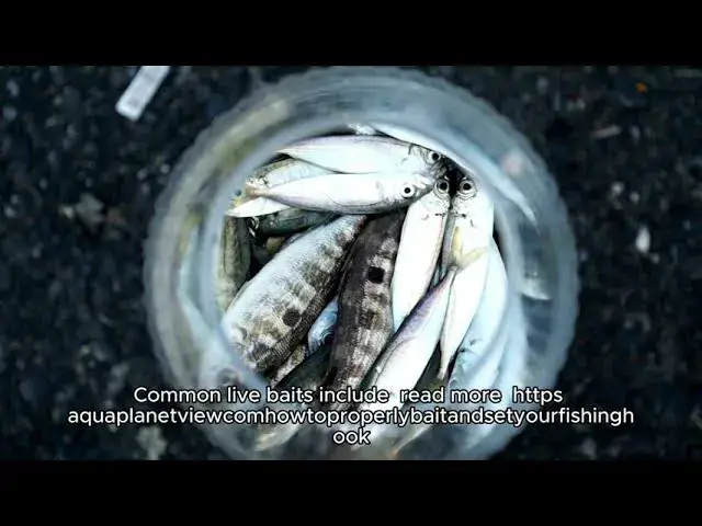 'Video thumbnail for How to properly bait and set your fishing hook'