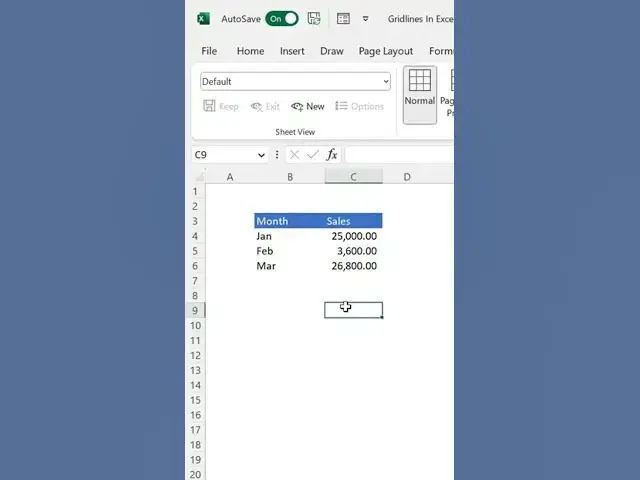 'Video thumbnail for How to Turn Excel Gridlines ON/OFF in Seconds! #exceltutorial #shorts  #excel #spreadsheetmagic'