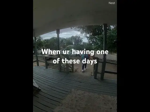 'Video thumbnail for When your day is going like this#funny#funnyvideo#viralvideo'