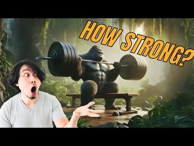 'Video thumbnail for How Strong Is A Gorilla - Why are Gorillas so Strong - Gorilla Strength'