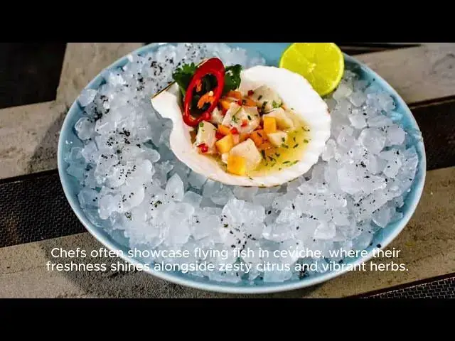 'Video thumbnail for Do flying fish taste good'