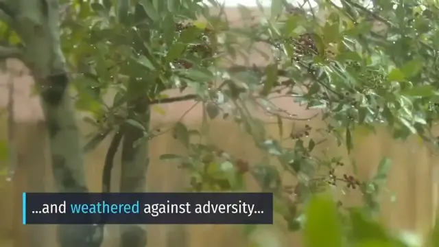 'Video thumbnail for Covid situation in India  - Growth Mindset Show Covid Edition'