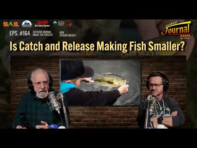 'Video thumbnail for Is Catch and Release Making Fish Smaller? | Outdoor Journal Radio ep. 164'
