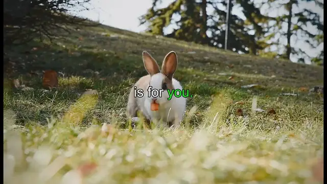 'Video thumbnail for Ultimate Rabbit Camping Checklist: Essential Tips & Gear!'