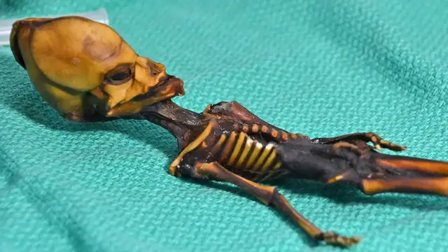 'Video thumbnail for Bizarre Fossils Science Still Hasn't Explained'