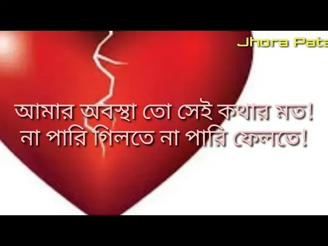 'Video thumbnail for তোমার সাথে কাটানো একটি
দিনও আজও ভুলতে পারিনি!'