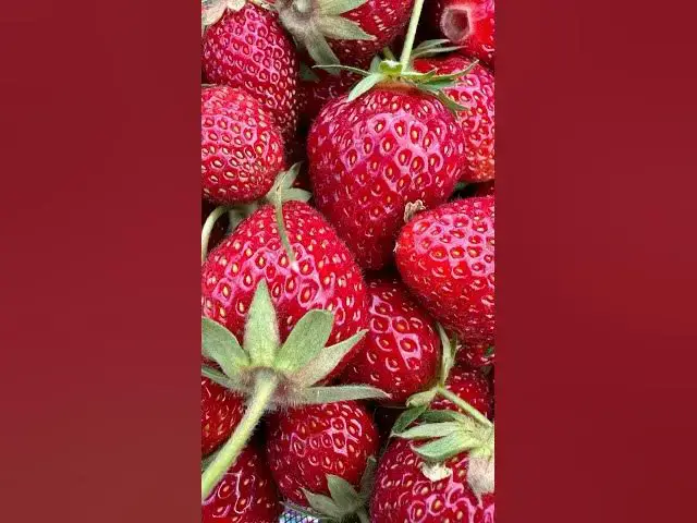 'Video thumbnail for Zeit für Erdbeermarmelade aus dem eigenen Garten #selbstversorger #cricut #shortsmitmarietta'